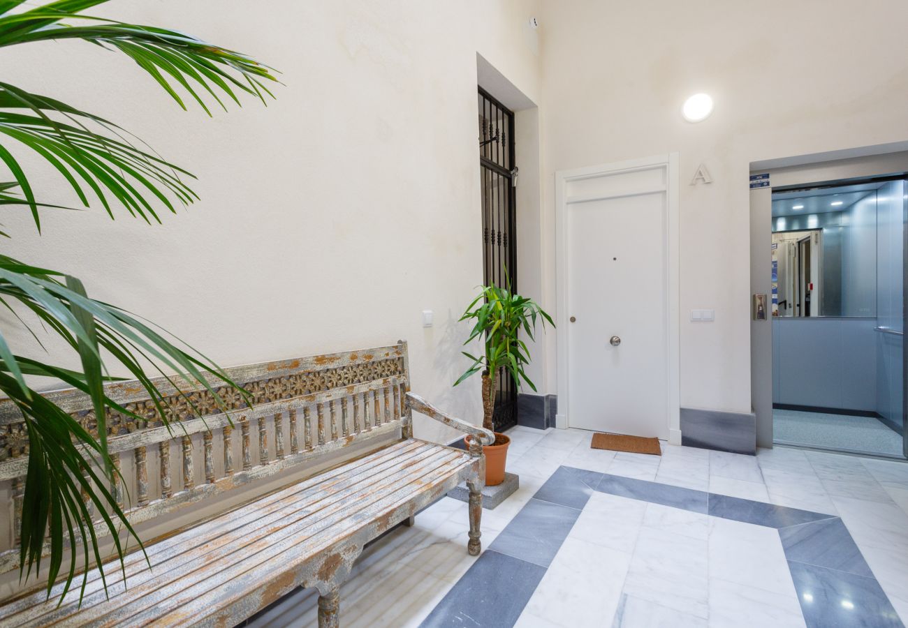 Estudio en Cádiz - Atico con terraza - BRUJULA by Cadiz4Rentals