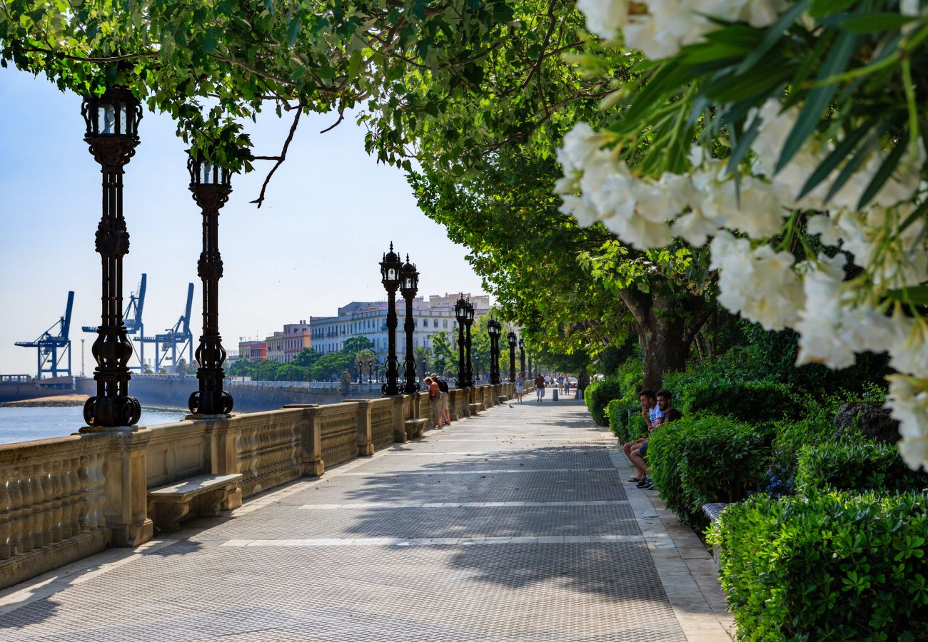 Apartament en Cádiz - Atico del MARQUES free parking by Cadiz4Rentals	