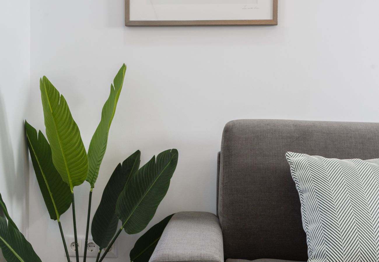 Apartament en Cádiz - Apartamento planta baja con terraza - BRUJULA by Cadiz4Rentals