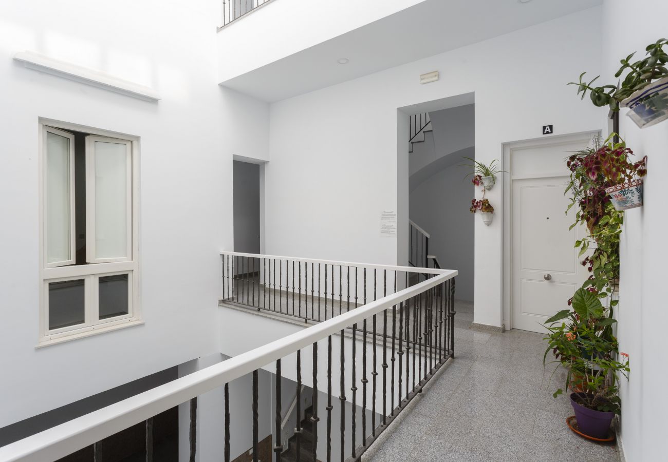 Apartament en Cádiz - Capitan Veneno ETERNO Y REBELDE by Cadiz4Rentals