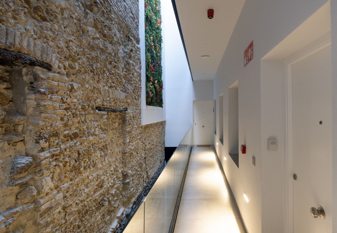 Apartament en Cádiz - Ático con terraza - Villar Suites by Cadiz4Rentals