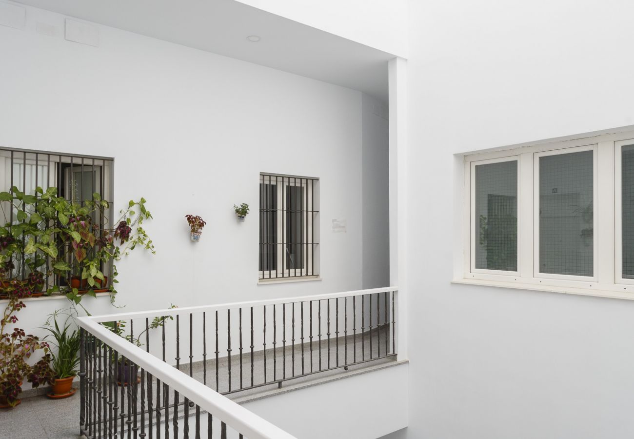 Apartment in Cádiz - Capitan Veneno CANALLA Y PEREGRINO by Cadiz4Rentals
